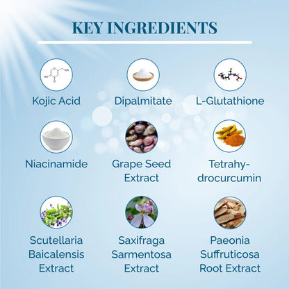 List of key ingredients with icons and text on a light blue background